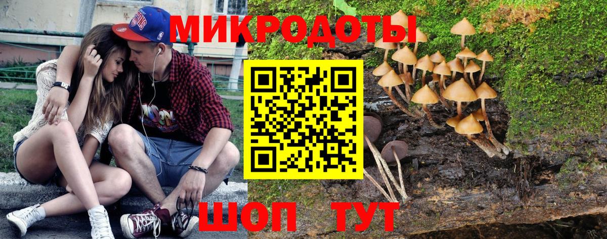 Галлюциногенные грибы Magic Shrooms Старый Оскол