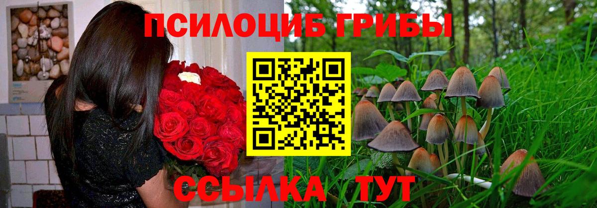 Старый Оскол  даркнет сайт  Галлюциногенные грибы MAGIC MUSHROOMS  Вход с VPN  Галлюциногенные грибы мицелий 